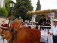 /album/gualterianas/ff-jpg/